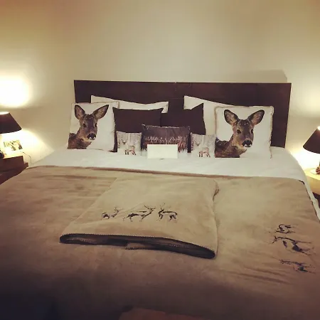 Le Baccara Hotel Arengosse